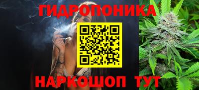 сатива Кулебаки