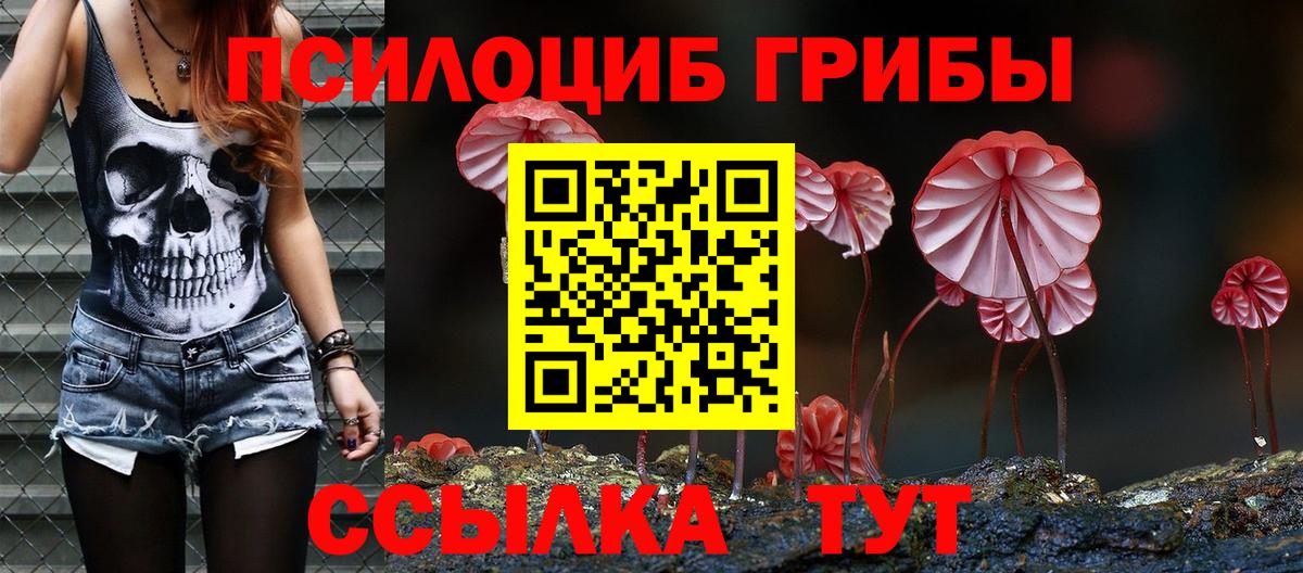 продажа наркотиков  Вход с VPN  Гусев  Галлюциногенные грибы Cubensis 