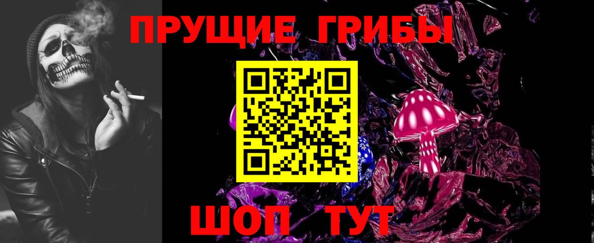 Псилоцибиновые грибы Cubensis Гусев